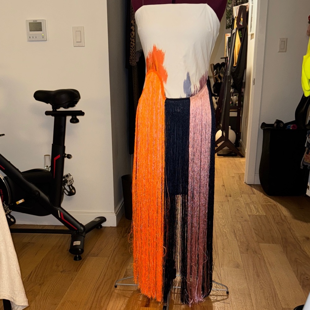 Elegant Multicolor Fringe DRESS